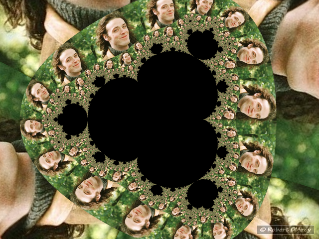 Photograph tessellated inside a Multibrot Set #8, z = z⁴+c