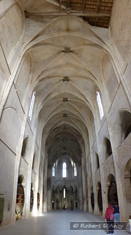 Looking down the nave of the church (which was converted to a wine cave in 1791) at Abbaye de Valmagne